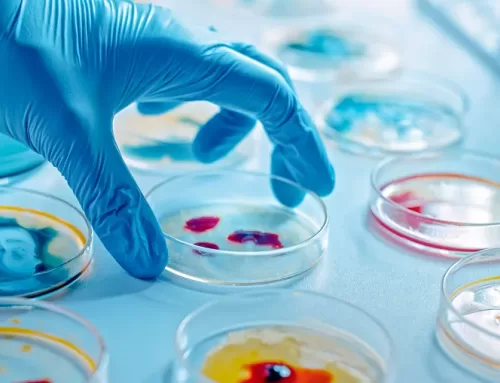 El valor de las culturas para la microbiología moderna